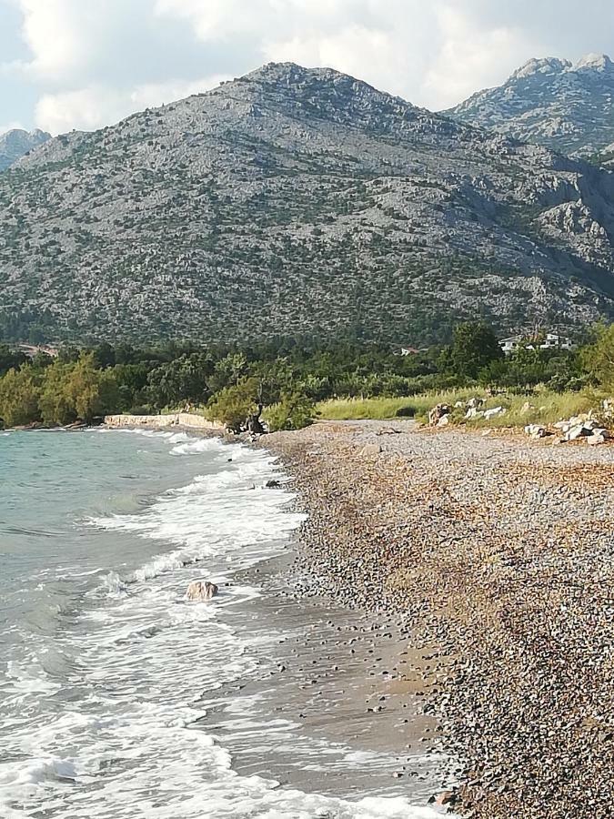 Apartments Veni Up Starigrad Paklenica Buitenkant foto